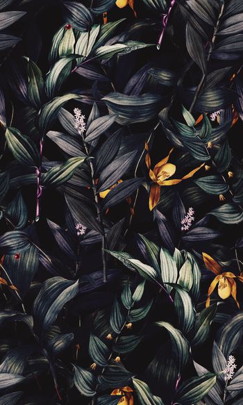 条纹印花华亿平台图片