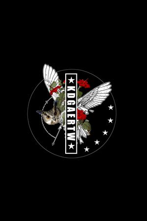 猫头鹰印花华亿平台图片