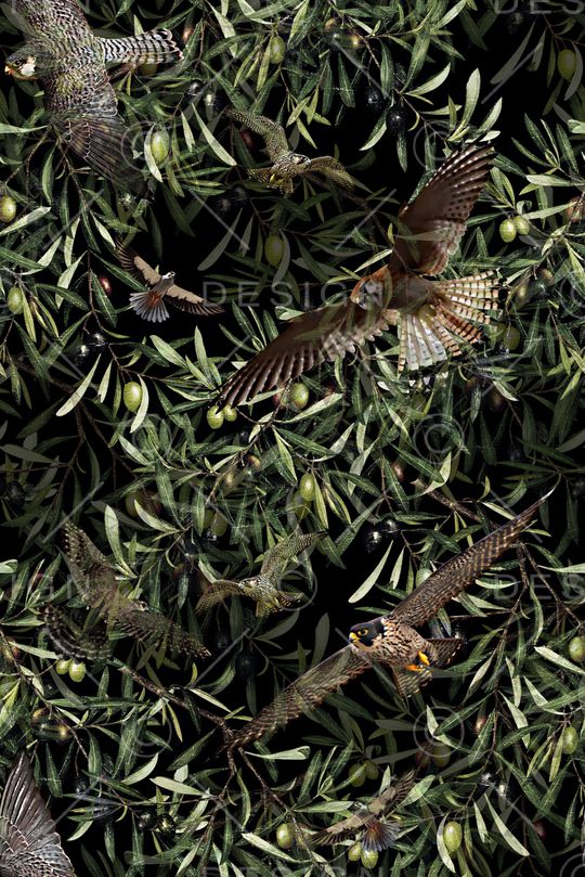 鸟印花华亿平台图片