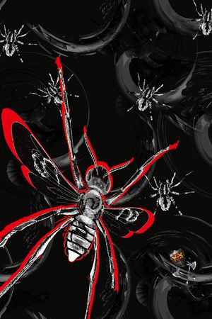 VALENTINO印花华亿平台图片