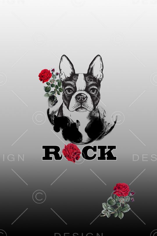 字母印花华亿平台图片