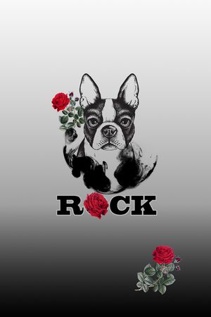 字母印花华亿平台图片