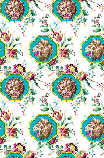 969337-狮子头-白