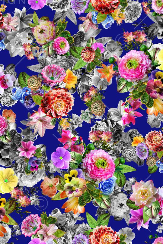 热带华亿平台印花华亿平台图片