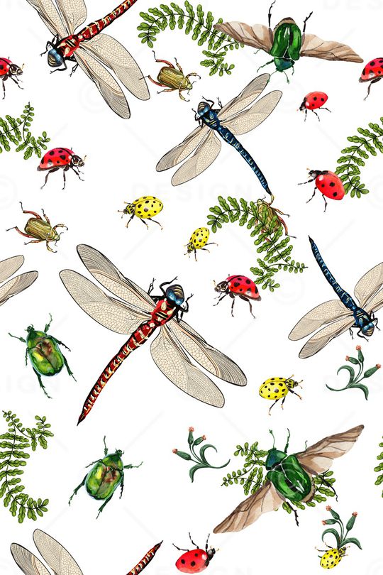 昆虫印花华亿平台图片