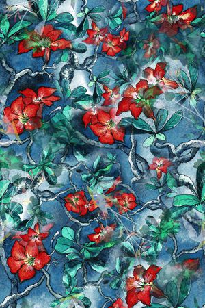 民族风印花华亿平台图片