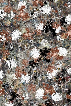 肌理印花华亿平台图片