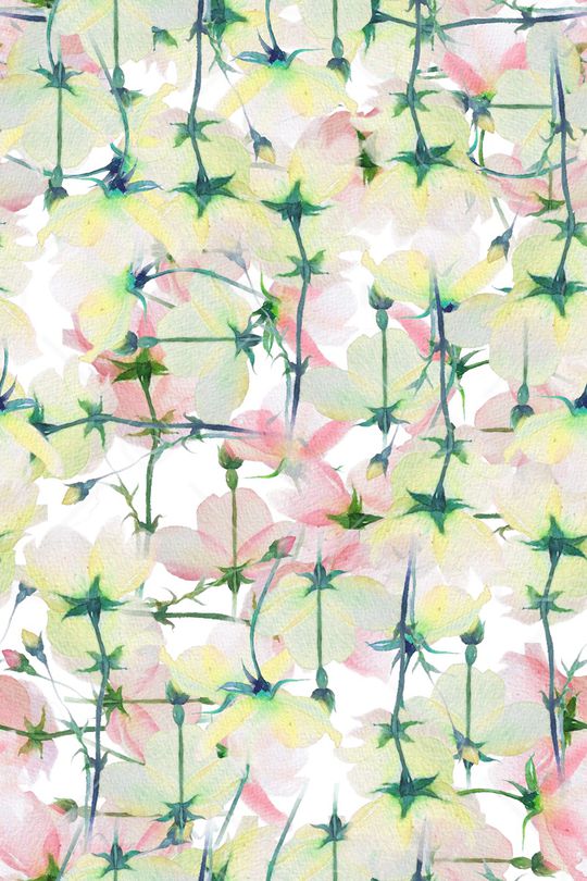 植物印花华亿平台图片