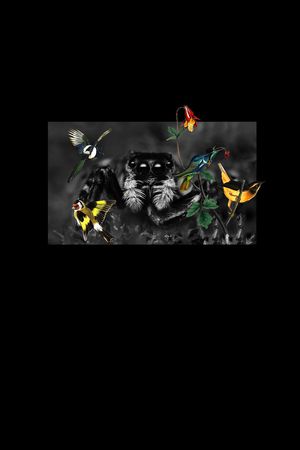 鸟印花华亿平台图片