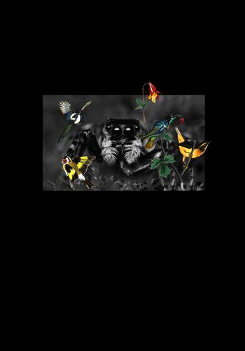 鸟印花华亿平台图片