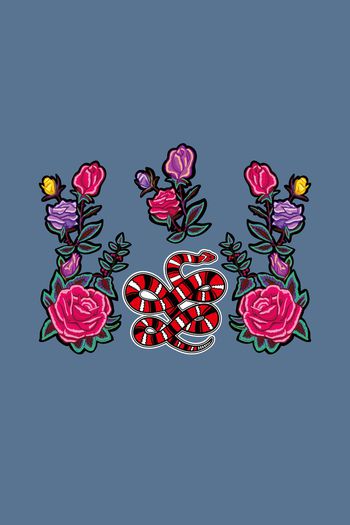 971187-花卉花朵 蛇--2