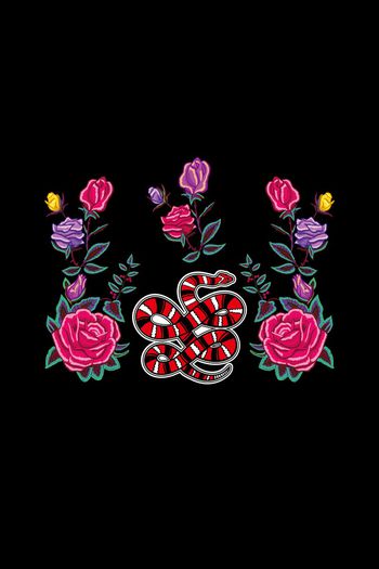 971317-花卉花朵 蛇