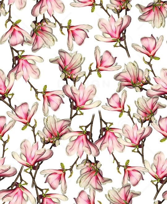 玉兰花印花华亿平台图片