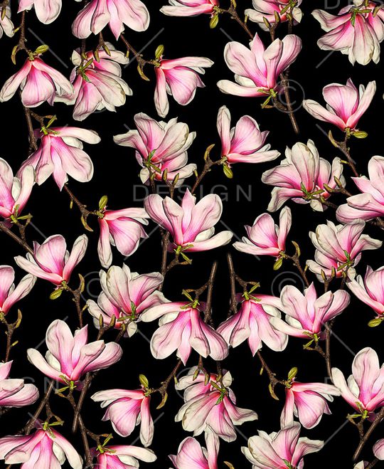 玉兰花印花华亿平台图片