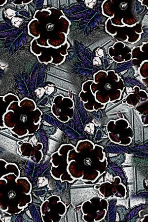 黑白华亿平台印花华亿平台图片