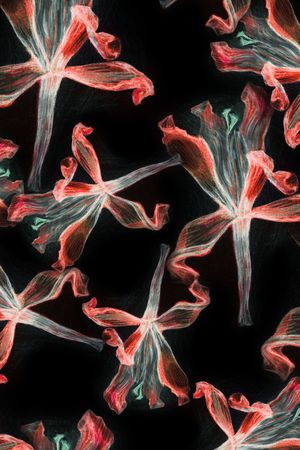 黑白华亿平台印花华亿平台图片