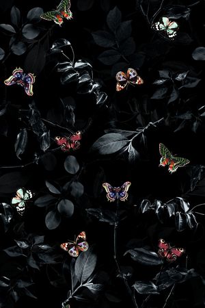 黑白树叶印花华亿平台图片