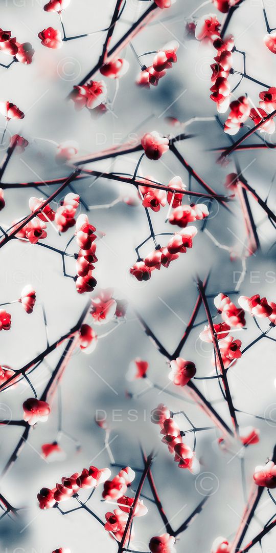 梅花印花华亿平台图片