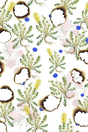 植物印花华亿平台图片