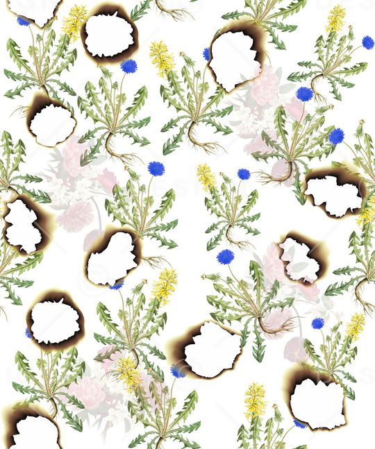 植物印花华亿平台图片