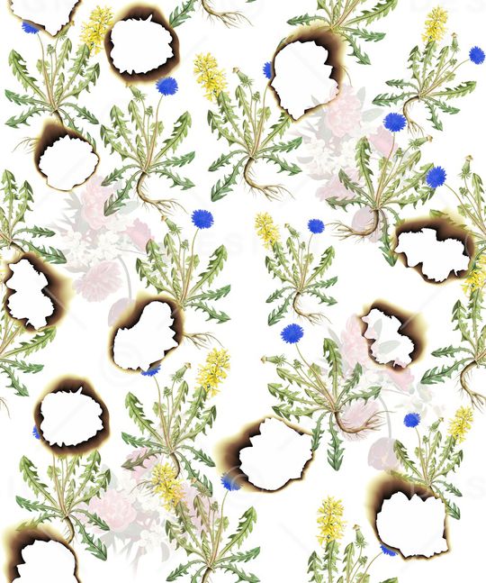 植物印花华亿平台图片