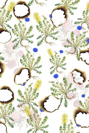 植物印花华亿平台图片