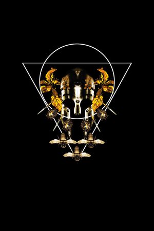 昆虫印花华亿平台图片