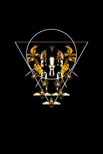 昆虫印花华亿平台图片