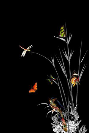 鸟印花华亿平台图片