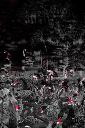 数码华亿平台印花华亿平台图片