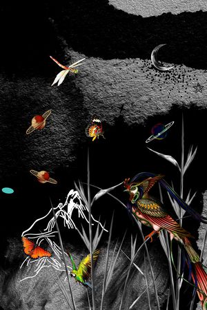 鸟印花华亿平台图片