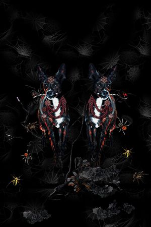 男装印花华亿平台图片