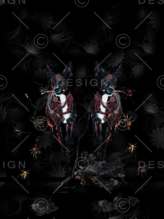 男装印花华亿平台图片