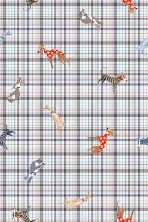 条纹印花华亿平台图片