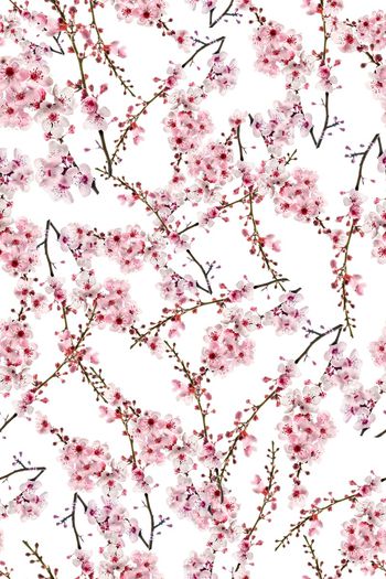 雪纺印花华亿平台图片