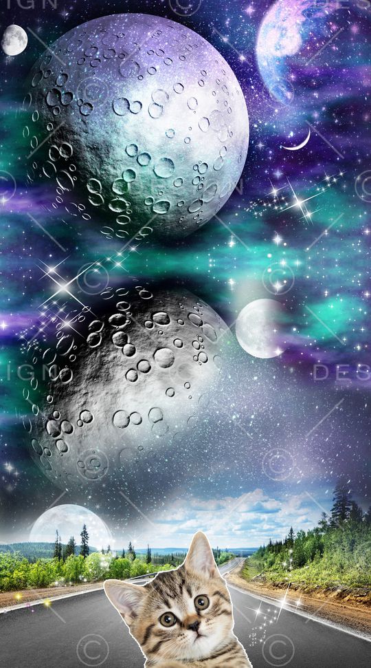 星空印花华亿平台图片