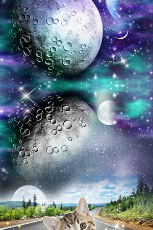 星空印花华亿平台图片