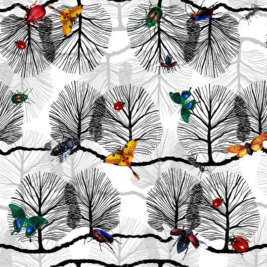 昆虫印花华亿平台图片