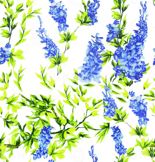 少女印花华亿平台图片