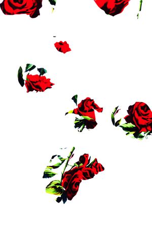 淑女印花华亿平台图片