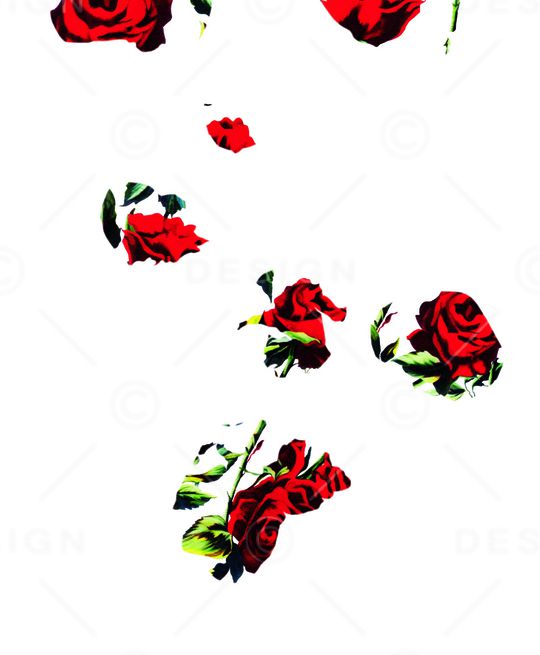 淑女印花华亿平台图片