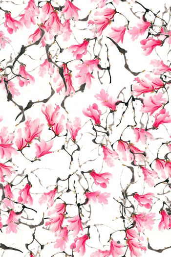 975244-玉兰花开1