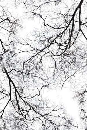 肌理印花华亿平台图片