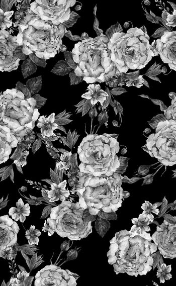 975585-水彩牡丹女装花卉--黑灰