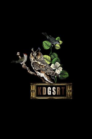 猫头鹰印花华亿平台图片