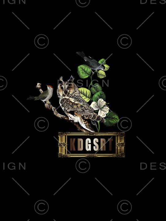 猫头鹰印花华亿平台图片