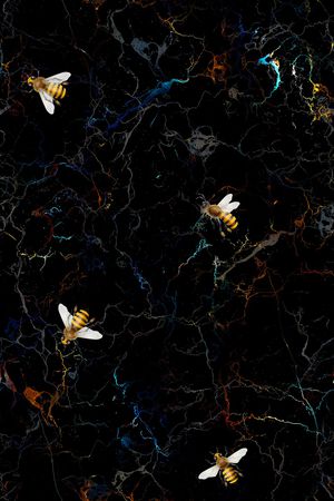 昆虫印花华亿平台图片