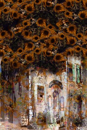 数码华亿平台印花华亿平台图片