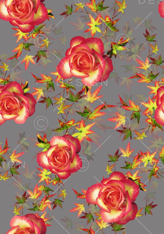 多肉印花华亿平台图片