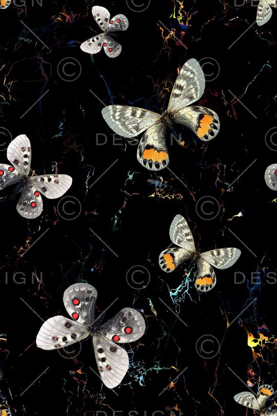 蝴蝶印花华亿平台图片